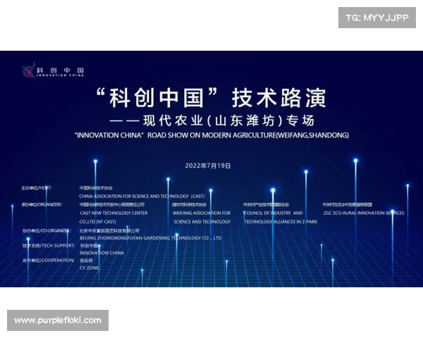 博胆王引领风潮揭秘现代企业成功背后的智慧与策略 博胆王引领风潮揭秘现代企业成功背后的智慧与策略